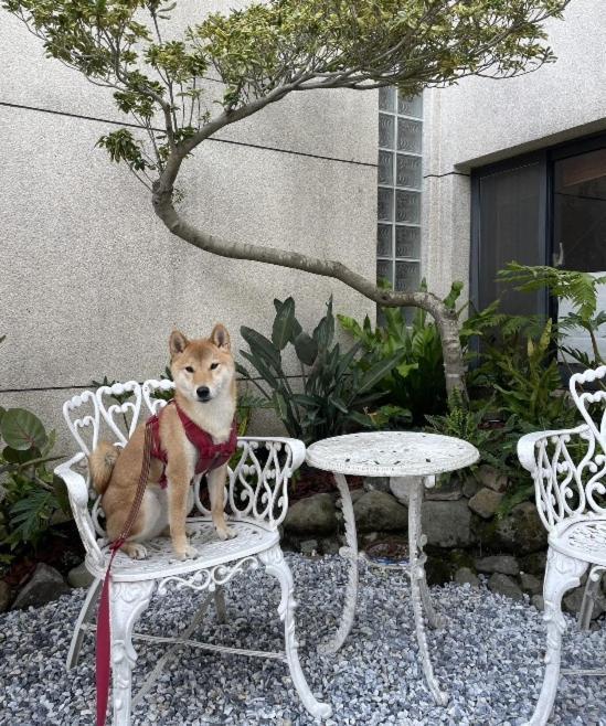 Sun Moon Talk Apartment หยูฉี ภายนอก รูปภาพ